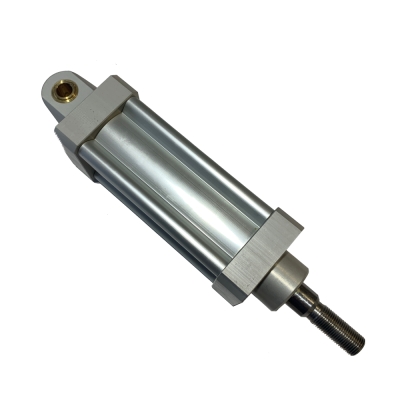 Pneumatikzylinder, Kolben Ø 50 mm, Hub 100 mm, doppeltwirkend